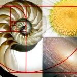 golden-ratio-31