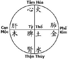 ngu tang