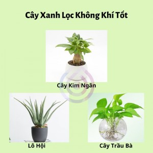mo-cung-tai-loc-12