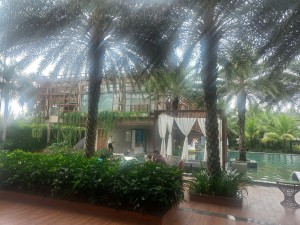 z5982266667845_9e99c512b802617a9bff3e52e03b3287