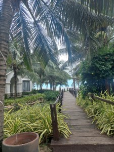 z5982266773652_868a6302c24ee9d5080556245b5e69e4